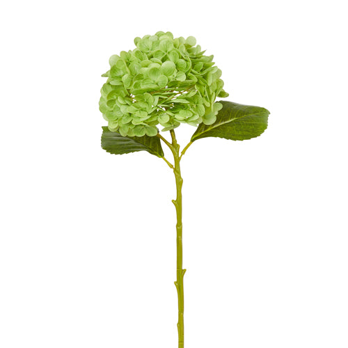 Real Touch Green Hydrangea Stem | 19"