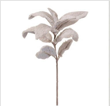 Fur Lamb's Ear Spray - Taupe