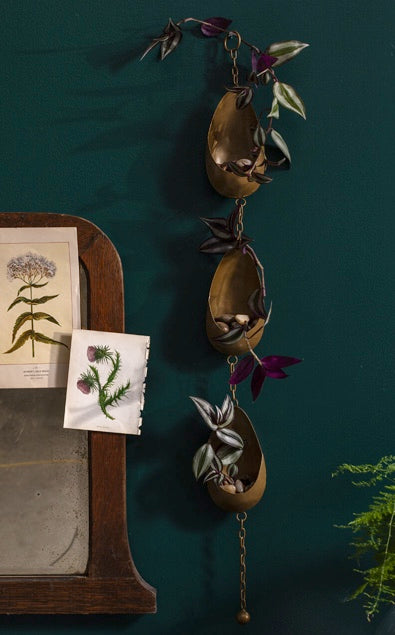 Ramble Tillandsia Holder