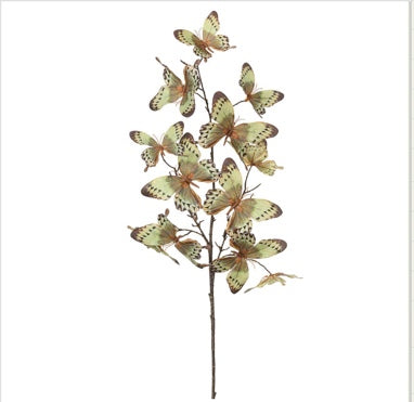 BUTTERFLY SPRAY