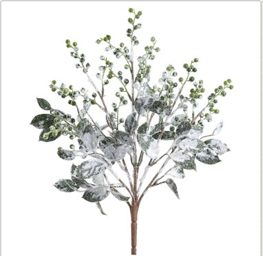 Snowed Berry Bush
