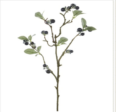 Berry Spray - Blue