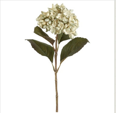 Hydrangea Spray- Green Lime