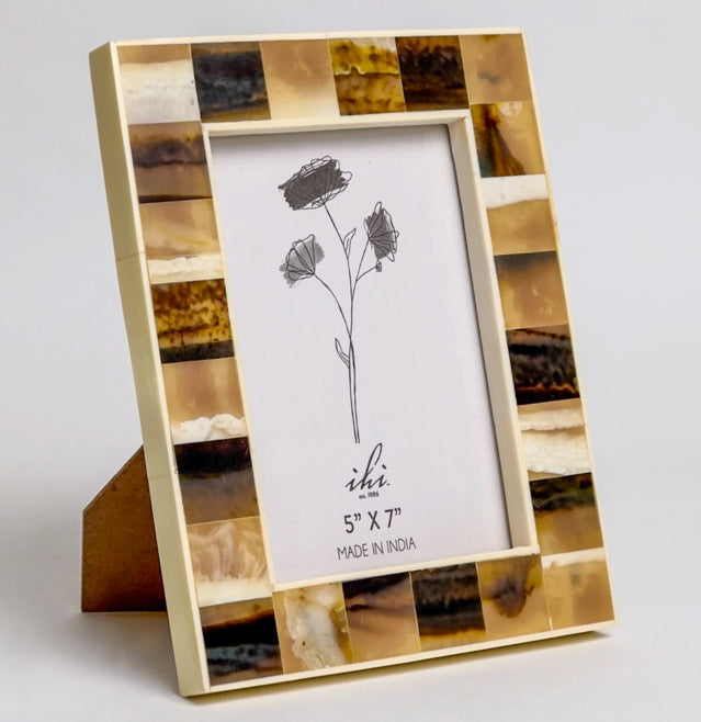 Horn Picture Frame