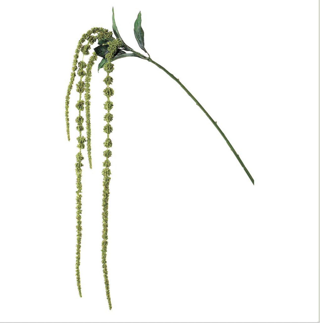 45"AMARANTHUS SPRAY